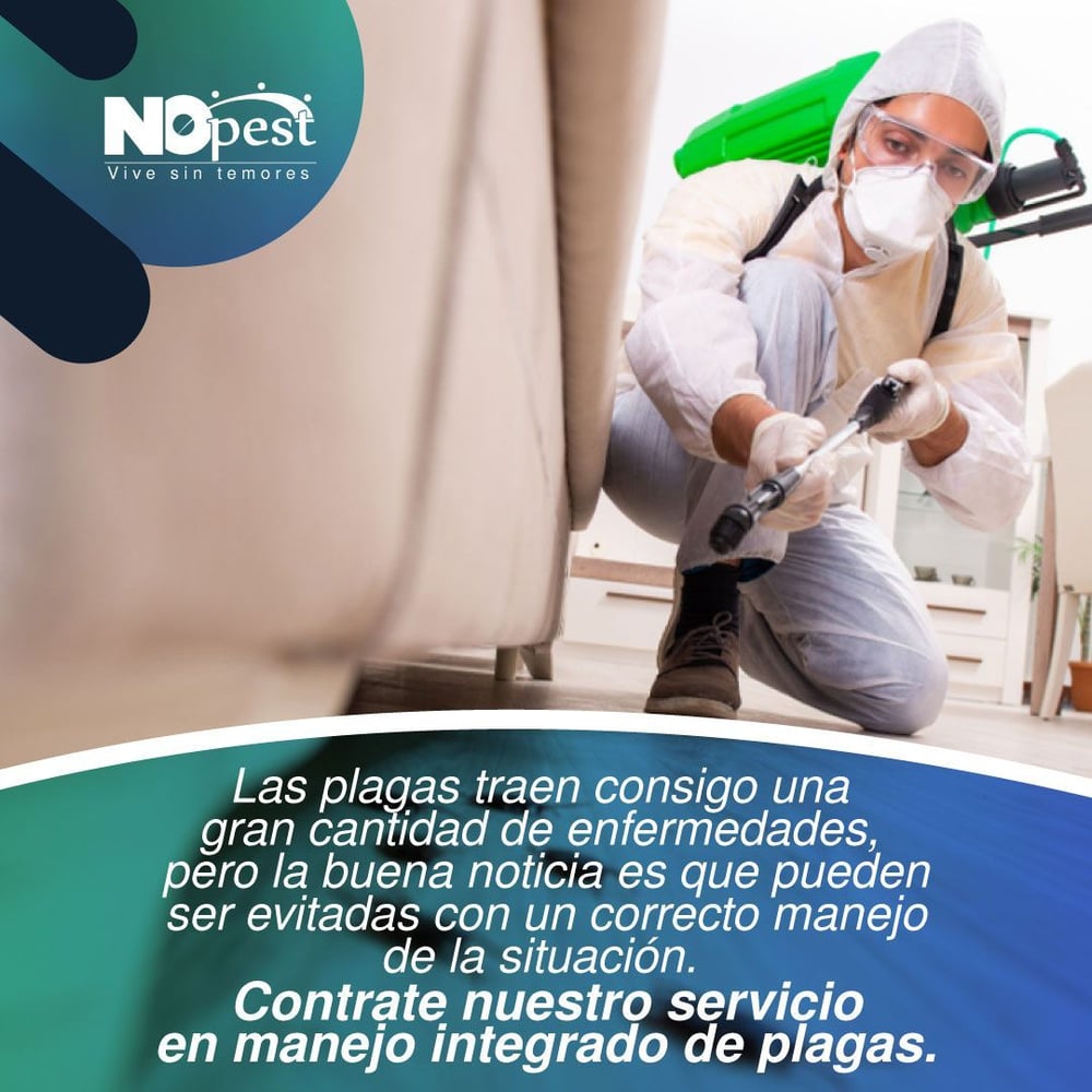 seguridadalimentariaca_165170544_432031004534392_3936216494889843341_n