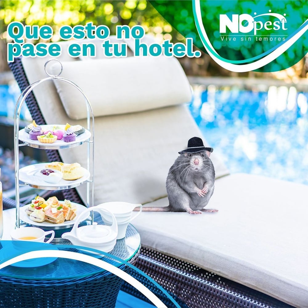 seguridadalimentariaca_241129580_551514779468431_7947567044516625702_n